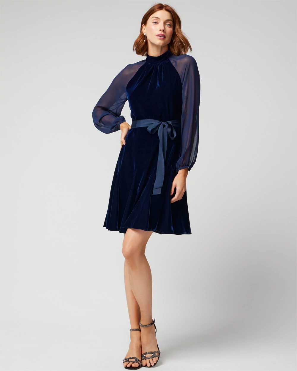 Petite Long Sleeve Sheer Sleeveless Velvet Mini Dress
